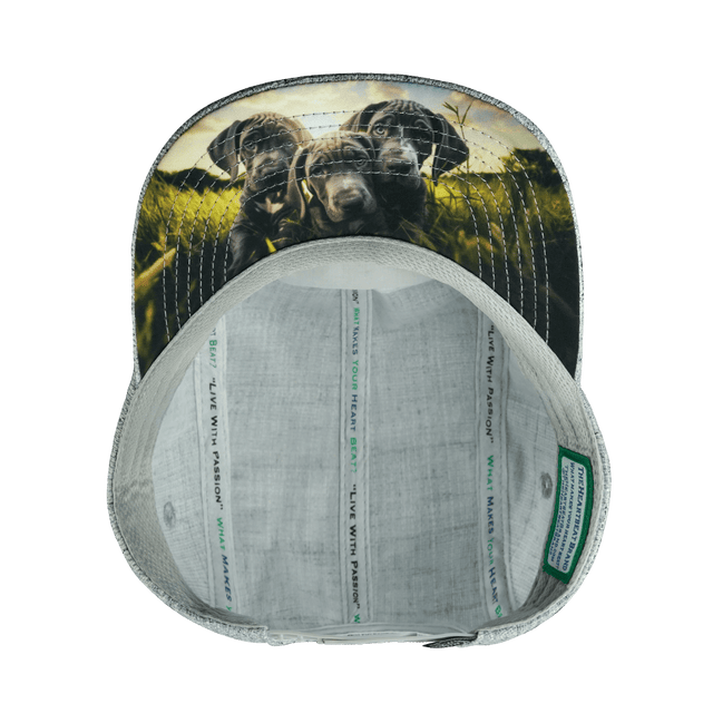 Dog Hat, 5 Panel Hat, Snapback, Light Gray Hemp, Mens Hat, Womens Hat, Underbill Picture