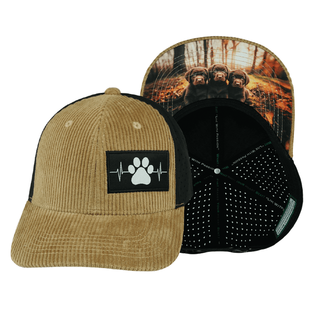 Dog Hat, Baseball Hat, Snapback Hat, Corduroy, Tan, Black, Mens Hat, Womens Hat, Main Picture