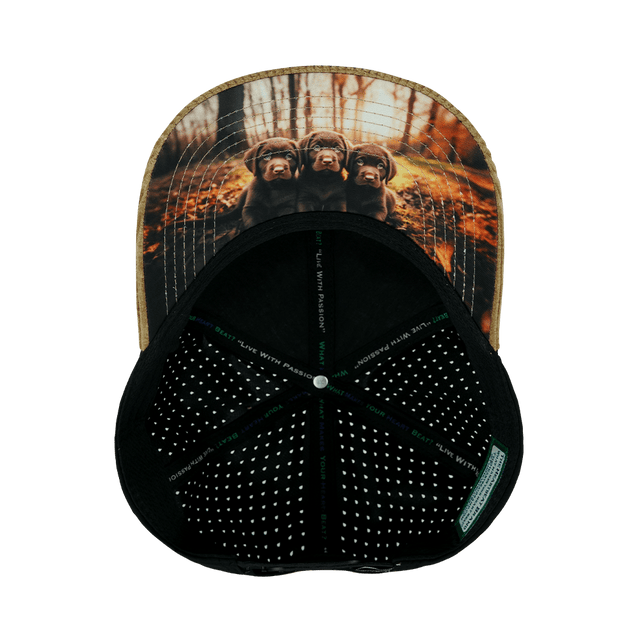 Dog Hat, Baseball Hat, Snapback Hat, Corduroy, Tan, Black, Mens Hat, Womens Hat, Underbill Picture