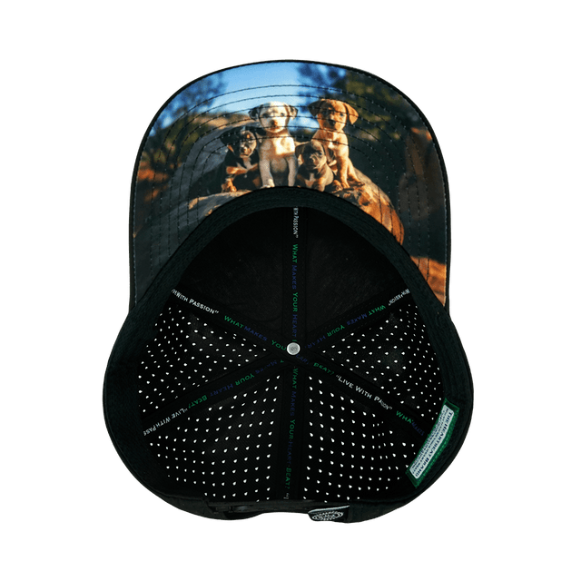 Dog Hat, Baseball Hat, Snapback Hat, Cork, Black, Mens Hat, Womens Hat, Underbill Picture