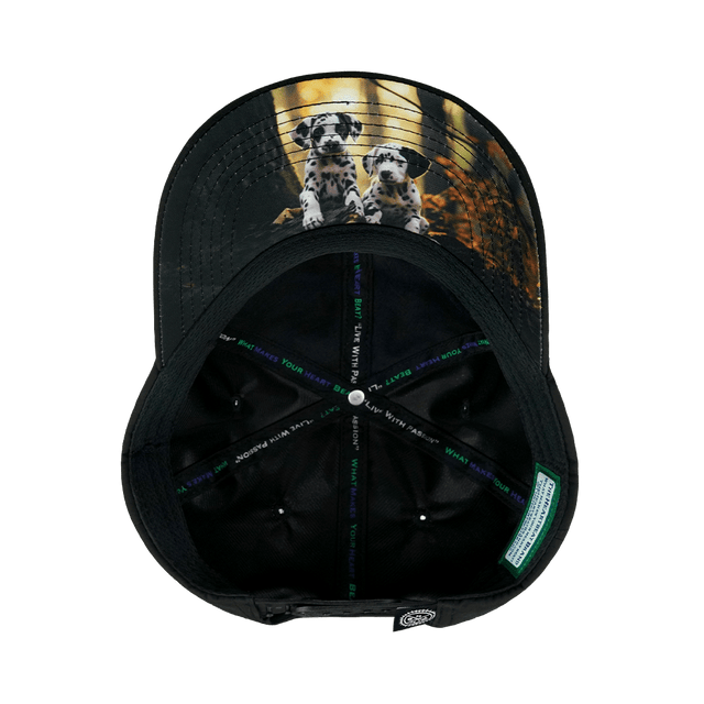 Dog Hat, Dad Hat, Snapback, Black, Mens Hat, Womens Hat, Underbill Picture