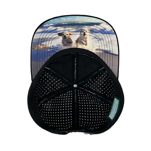 Dog Hat, Flat Bill, Snapback Hat, Corduroy, Black, Gray Blue, Mens Hat, Womens Hat, Underbill Picture