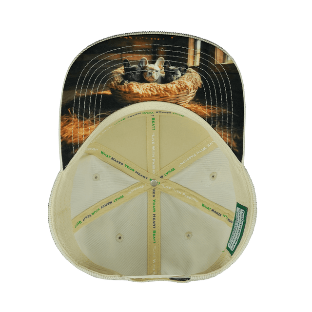 Dog Hat, Flat Bill, Snapback Hat, Corduroy, Cork, Cream, Mens Hat, Womens Hat, Underbill Picture