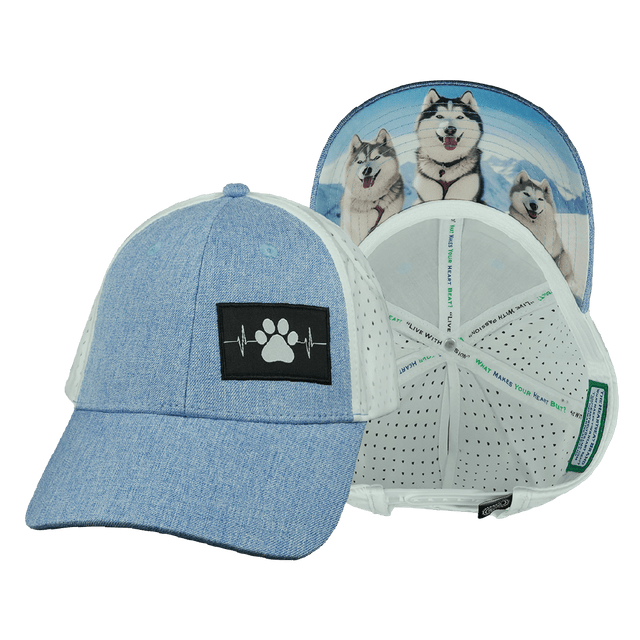 Dog Hat, Low Profile, Ponytail, Snapback Hat, Light Blue, White, Mens Hat, Womens Hat, Main Picture