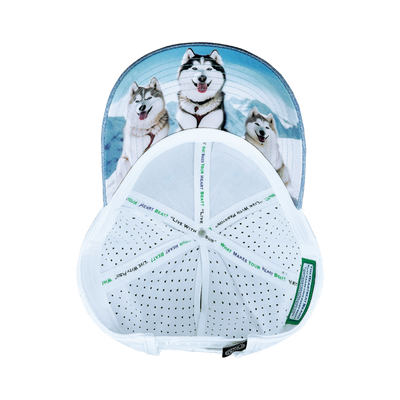 Dog Hat, Low Profile, Ponytail, Snapback Hat, Light Blue, White, Mens Hat, Womens Hat, Underbill Picture