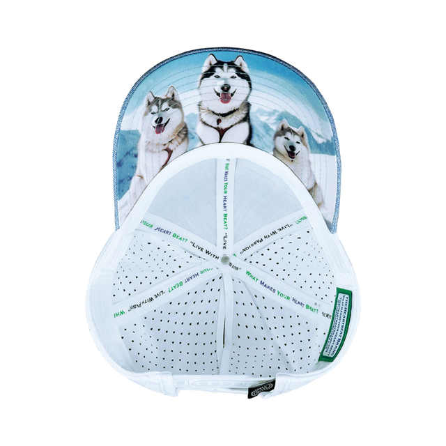 Dog Hat, Low Profile, Ponytail, Snapback Hat, Light Blue, White, Mens Hat, Womens Hat, Underbill Picture
