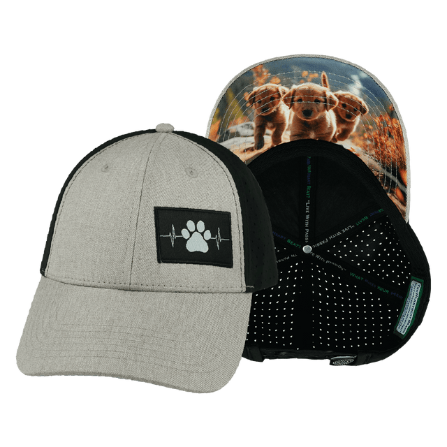 Dog Hat, Low Profile, Ponytail, Snapback Hat, Tan, Black, Mens Hat, Womens Hat, Main Picture