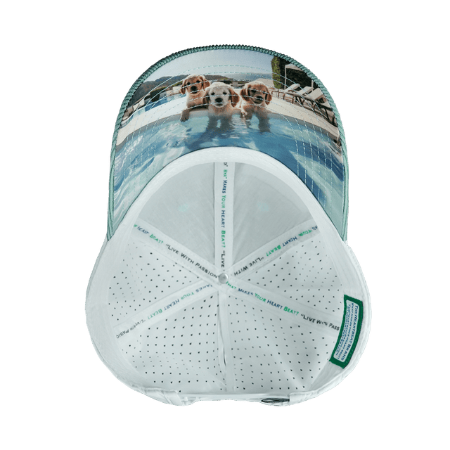 Dog Hat, Low Profile, Ponytail, Snapback Hat, Corduroy, Mint, White, Mens Hat, Womens Hat, Underbill Picture