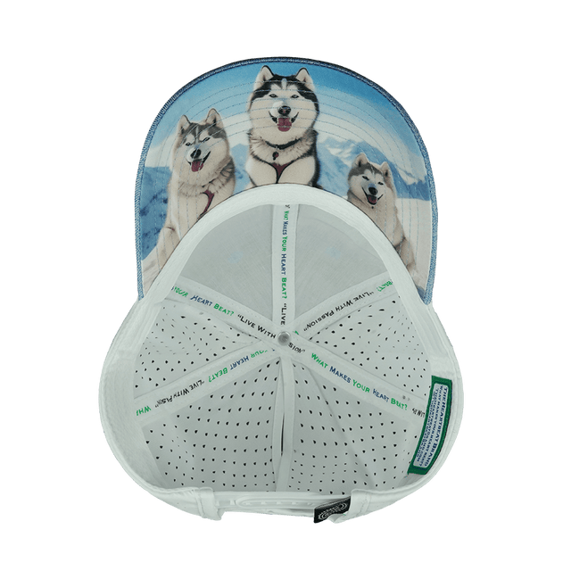 Dog Hat, Low Profile, Ponytail, Snapback Hat, Light Blue, White, Mens Hat, Womens Hat, Underbill Picture