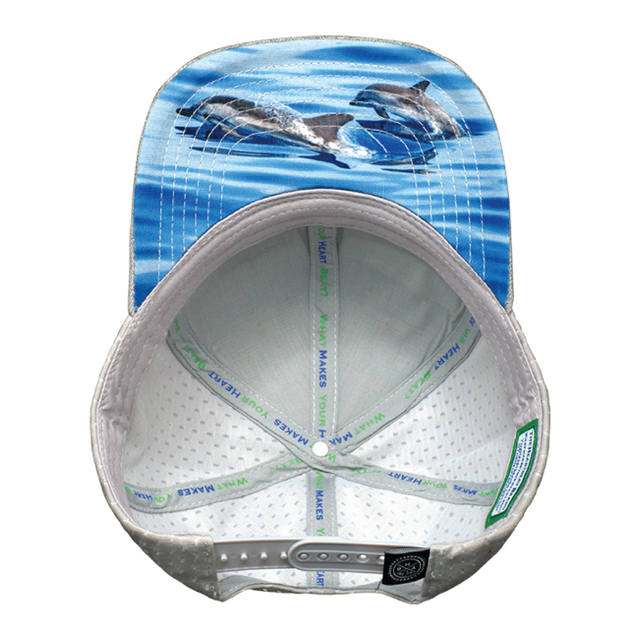 Florida Hat, Baseball Hat, Snapback Hat, Cork, Heather Gray, Gray, Mens Hat, Womens Hat, Underbill Picture