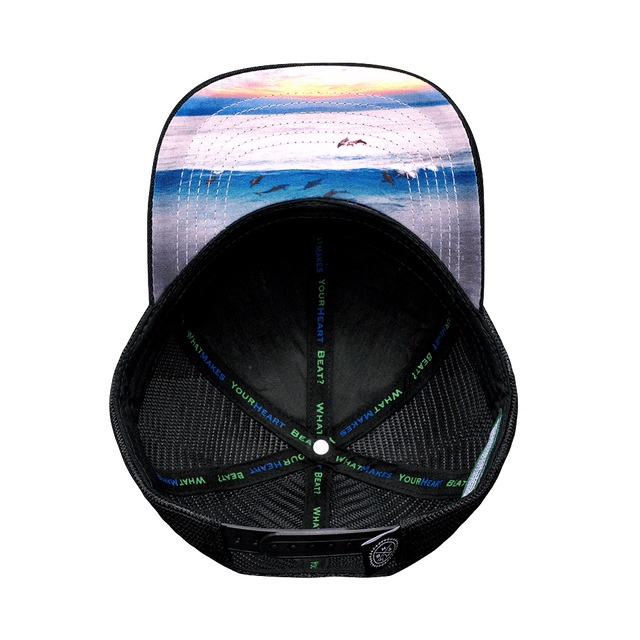 Florida Hat, Low Profile, Snapback Hat, Cork, Black, White, Mens Hat, Womens Hat, Underbill Picture