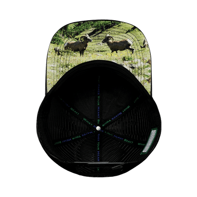 Nevada Hat, Baseball Hat, Snapback Hat, Green Camo, Black, Mens Hat, Womens Hat, Underbill Picture