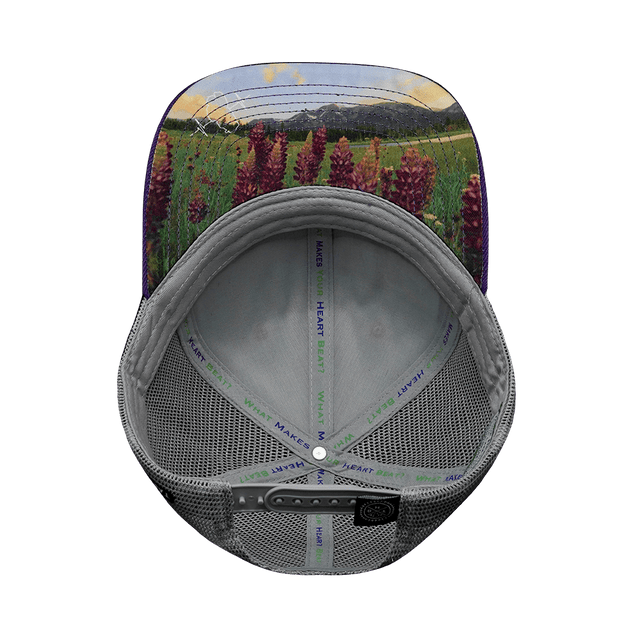 Tahoe Hat, Baseball Hat, Snapback Hat, Cork, Purple, Gray, Mens Hat, Womens Hat, Underbill Picture