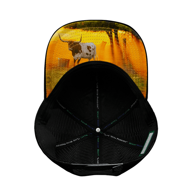 Texas Hat, Baseball Hat, Snapback Hat, Cork, Black, Mens Hat, Womens Hat, Underbill Picture