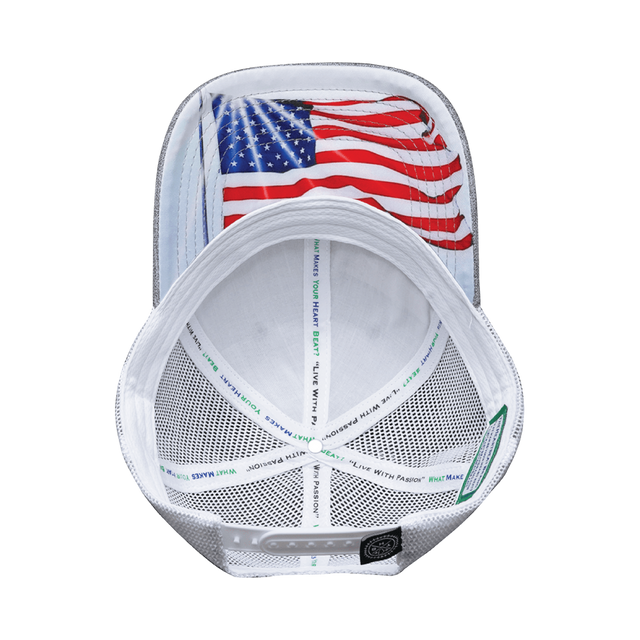 Texas Hat, Low Profile, Snapback Hat, Heather Gray, White, Mens Hat, Womens Hat, Underbill Picture