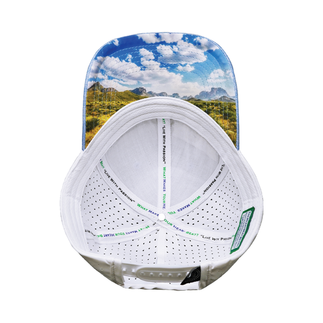 Texas Hat, Low Profile, Ponytail Hat, Snapback Hat, Light Blue, White, Mens Hat, Womens Hat, Underbill Picture