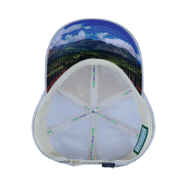 Wine Hat, Dad Hat, Snapback, Cork, Gray, Mens Hat, Womens Hat, Underbill Picture