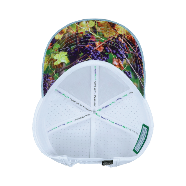 Wine Hat, Low Profile, Ponytail, Snapback Hat, Cork, Baby Blue, White, Mens Hat, Womens Hat, Underbill Picture