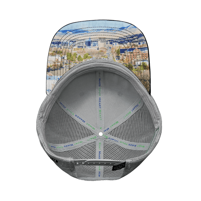 Idaho Hat, Baseball Hat, Snapback Hat, Suede, Black, Gray, Mens Hat, Womens Hat, Underbill Picture