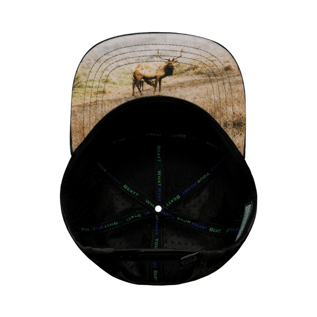 Nevada Hat, Flat Bill, Snapback Hat, Cork, Tan Camo, Mens Hat, Womens Hat, Underbill Picture