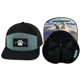 Dog - 7 Panel - Corduroy - Black / Gray Blue (Unisex)