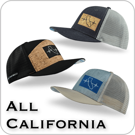 California category square featuring a scenic beach view with palm trees and sunny skies