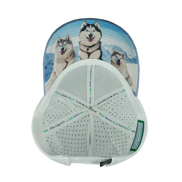 Dog - 6 Panel - Shallow Fit - Pony Tail - Light Blue / White (Unisex)