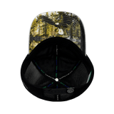 Alaska Hat, Dad Hat, Snapback, Gray, Black, Mens Hat, Womens Hat, Underbill Picture