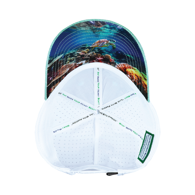 Beach Hat, Low Profile, Ponytail, Snapback Hat, Teal, White, Mens Hat, Womens Hat, Underbill Picture 