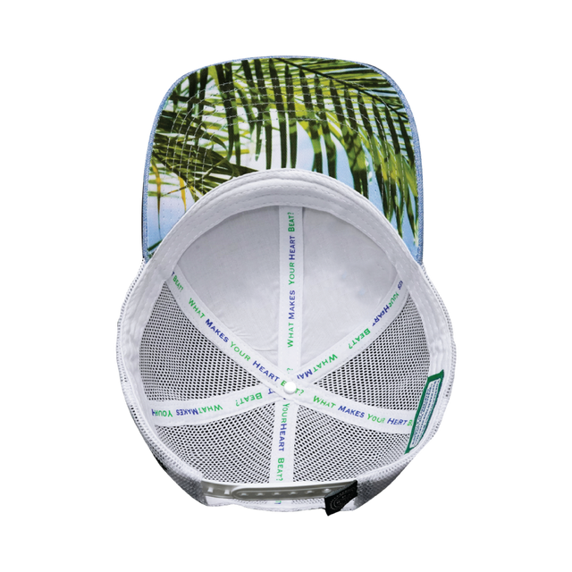 California Hat, Low Profile, Snapback Hat, Blue, White, Mens Hat, Womens Hat, Underbill Picture 