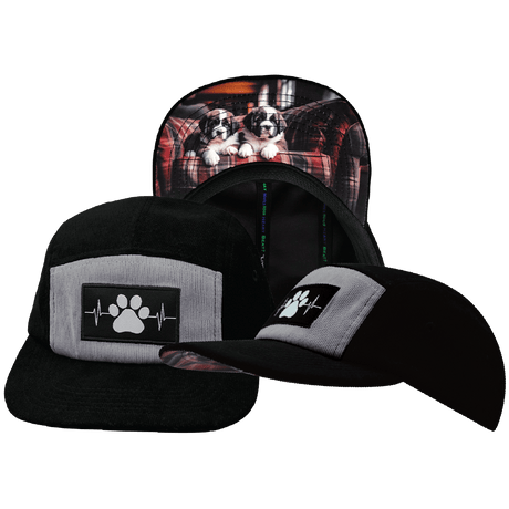 Dog Hat, 5 Panel Hat, Snapback, Corduroy, Black, Gray, Mens Hat, Womens Hat, Main Picture