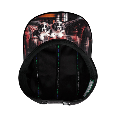Dog Hat, 5 Panel Hat, Snapback, Corduroy, Black, Gray, Mens Hat, Womens Hat, Underbill Picture