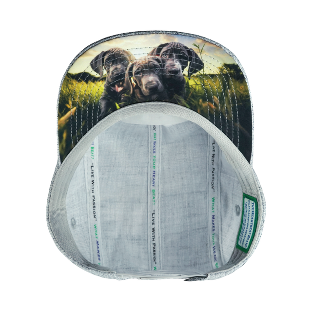 Dog Hat, 5 Panel Hat, Snapback, Light Gray Hemp, Mens Hat, Womens Hat, Underbill Picture