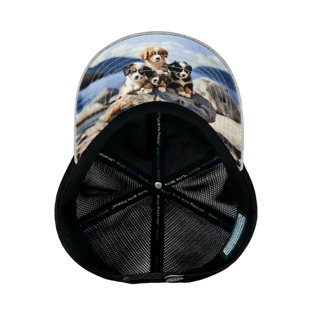 Dog Hat, Dad Hat, Snapback, Heather Gray, Black, Mens Hat, Womens Hat, Underbill Picture