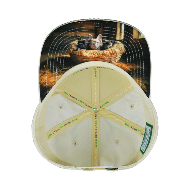 Dog Hat, Flat Bill, Snapback Hat, Corduroy, Cork, Cream, Mens Hat, Womens Hat, Underbill Picture