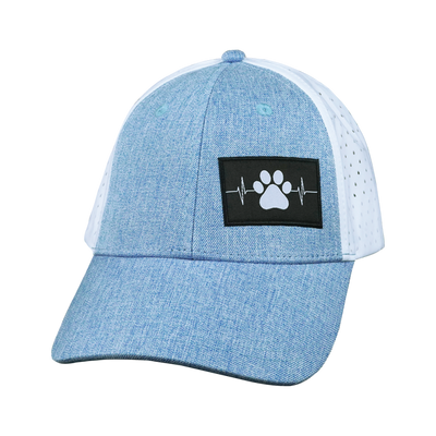 Dog Hat, Low Profile, Ponytail, Snapback Hat, Light Blue, White, Mens Hat, Womens Hat, Front Picture