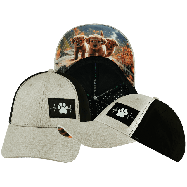 Dog Hat, Low Profile, Ponytail, Snapback Hat, Tan, Black, Mens Hat, Womens Hat, Main Picture