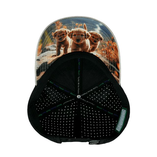 Dog Hat, Low Profile, Ponytail, Snapback Hat, Tan, Black, Mens Hat, Womens Hat, Underbill Picture