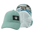 Dog Hat, Low Profile, Ponytail, Snapback Hat, Corduroy, Mint, White, Mens Hat, Womens Hat, Main Picture 