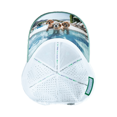 Dog Hat, Low Profile, Ponytail, Snapback Hat, Corduroy, Mint, White, Mens Hat, Womens Hat, Underbill Picture 
