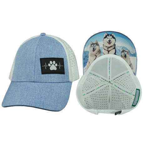 Dog Hat, Low Profile, Ponytail, Snapback Hat, Light Blue, White, Mens Hat, Womens Hat, Main Picture