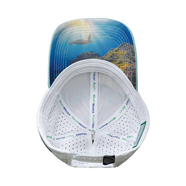Hawaii Hat, Low Profile, Ponytail, Snapback Hat, Teal, White, Mens Hat, Womens Hat, Underbill Picture 