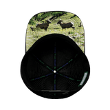 Nevada Hat, Baseball Hat, Snapback Hat, Green Camo, Black,  Mens Hat, Womens Hat, Underbill Picture