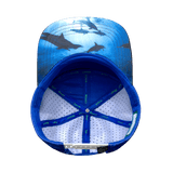 Florida Hat, Flat Bill, Snapback Hat, Black, Gray, White, Blue, Lightning Colors, Mens Hat, Womens Hat, Underbill Picture 