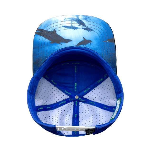 Florida Hat, Flat Bill, Snapback Hat, Black, Gray, White, Blue, Lightning Colors, Mens Hat, Womens Hat, Underbill Picture 